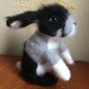 Knitted Dutch rabbit.