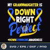 Granddaughter Is Down Right Perfect Down Syndrome Awareness.jpg