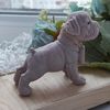 Dog with medal mold soap 2