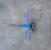 Realistic-dragonfly-brooch-Needle-felted-nsect-replica-jewelry 2