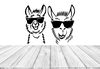 llama-funny-lamas-with-glasses-sticker