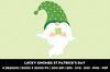 Lucky gnomes St Patrick's Day cover 4.jpg