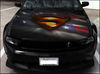 Superman logo_nw.jpg