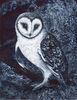 barn-owl-print.jpg