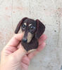 Dachshund dog portrait pin (8).JPG