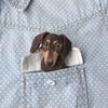 Dachshund dog portrait pin.JPG