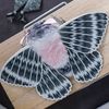 gray moth doll 0203.jpg