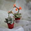 Succulent pattern, realistic plant for interior decor, knitting pattern, handmade plant, cactus lover gift, PDF pattern 9.jpg