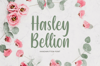 HasleyBellion1-1536x1024.png