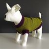 Bright-knitted-sweater-for-small-dogs-3