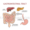 MEDICINE GASTROINTESTINAL TRACT [site].png