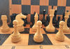 luga_chess_big2.jpg