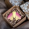 Pink - yellow moth brooch in the gift box