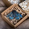 Fantasy blue moth brooch in the gift box