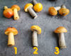 Miniature mushrooms.jpg