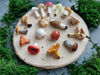 miniature mushroom set.jpg