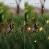 1080x1080 size firefly-photo-overlays-1.jpg