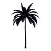 Palm trees1.jpg