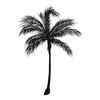 Palm trees6.jpg