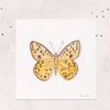 MiniPainting_Butterfly_NinaFert_Etsy_announ.jpg