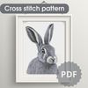 cross stitch pattern PDF (1).png