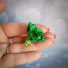 miniature spinach.jpg