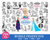 frozen bundle 22+.jpg