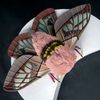 Cute moth plush doll sits on a treasure box