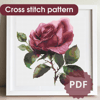 cross stitch pattern (1).png
