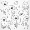 Poppies-preview-02.jpg