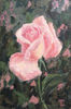 Rose oil painting flowers 10x15cm 4.jpg