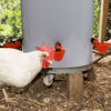 automaticchickenwatercupbirdcoop5.png