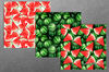 Watermelon patterns set B 02.jpg