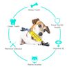 Rubber Toothbrush with Rope Pet Teeth Cleaning Chew Toys (1).jpg