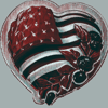heart4thjuly12.png