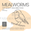 MEALWORMS FOR BIRDS [site].png