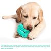Indestructible Dog Toothbrush Gums Care Rubber Chew Toys (3).jpg