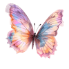 butterfly6.png