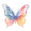 butterfly8.png