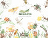 1 Insects watercolor collection cover.jpg