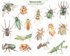 2 Insects watercolor collection elements.jpg
