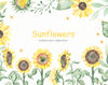 1 Sunflowers watercolor cover.jpg