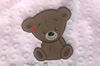 Teddy-Bear-Embroidery-12024362-580x383.jpg
