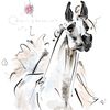 White Light Grey Arabian Horse ART commission cute sketch doodle custom original equine artist cartoon illustration pet portrait realistic drawing personalized