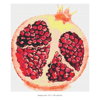 Cross stitch pattern PDF Pomegranate (2).png
