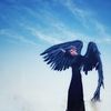 Maleficent costume, black angel wings, devil wings, cosplay wings, the witcher costume, demon slayer, final fantasy, articulating wings, black crow wings, large