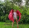 adult wings costume, Hawks costume, red angel wings, devil wings, final fantasy, articulating wings, anime cosplay wings, moving anime wings, movable wings, my 