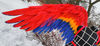 anime cosplay wings, scarlet macaw wings, bluebird wings, parrot wings, movable wings, articulated wings, angel wings, flapping wings, wings for cosplay, photo