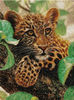 Leopard_Tomin.jpg