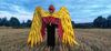 Hawkman wings costume, golden angel wings, wearable gold wings, gold cosplay wings, red and gold wings, articulating wings, black crow wings, large golden wings